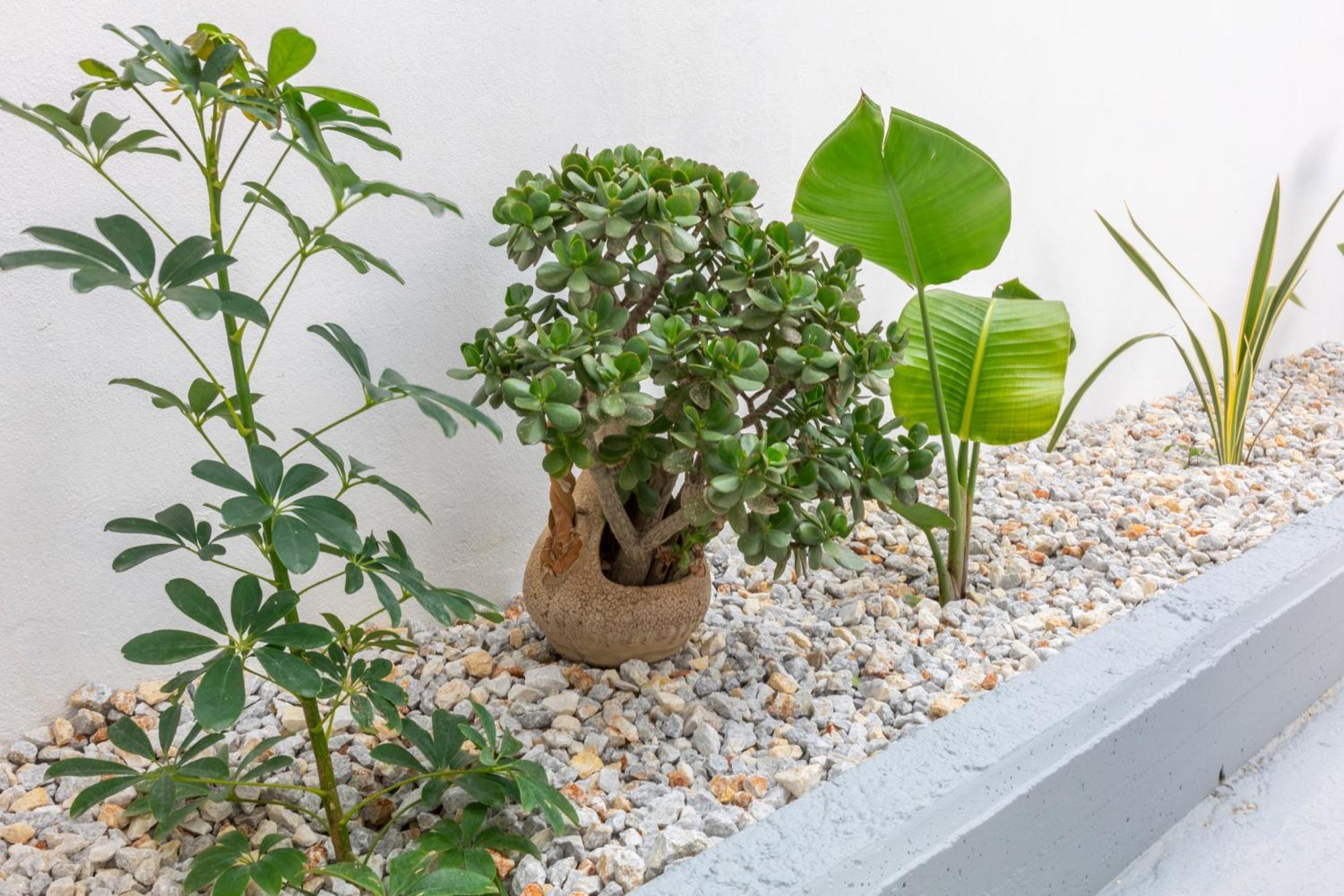 Garden Luxury Apartment Iráklio Kültér fotó