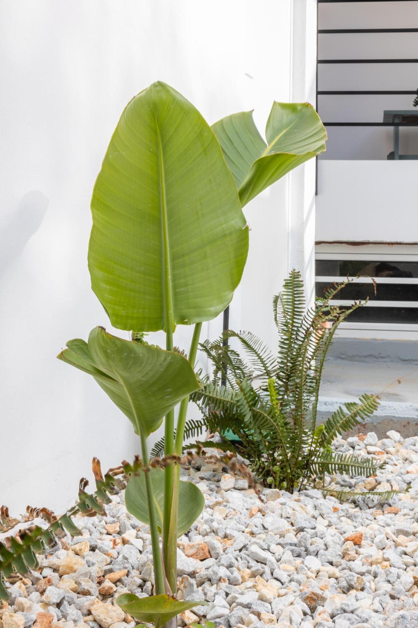 Garden Luxury Apartment Iráklio Kültér fotó